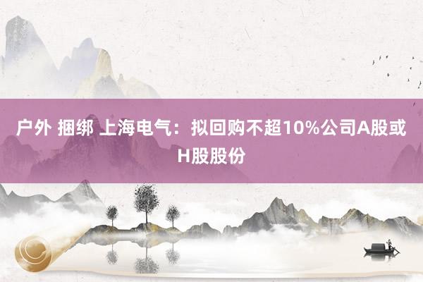 户外 捆绑 上海电气：拟回购不超10%公司A股或H股股份