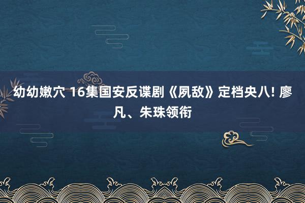 幼幼嫩穴 16集国安反谍剧《夙敌》定档央八! 廖凡、朱珠领衔