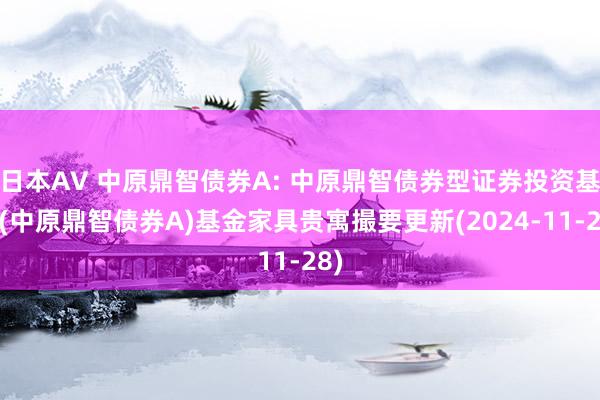 日本AV 中原鼎智债券A: 中原鼎智债券型证券投资基金(中原鼎智债券A)基金家具贵寓撮要更新(2024-11-28)