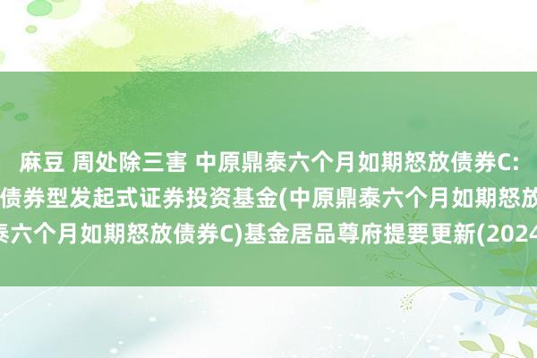 麻豆 周处除三害 中原鼎泰六个月如期怒放债券C: 中原鼎泰六个月如期怒放债券型发起式证券投资基金(中原鼎泰六个月如期怒放债券C)基金居品尊府提要更新(2024-11-28)