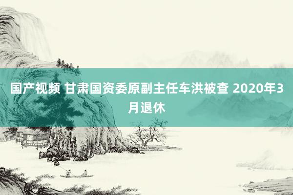 国产视频 甘肃国资委原副主任车洪被查 2020年3月退休