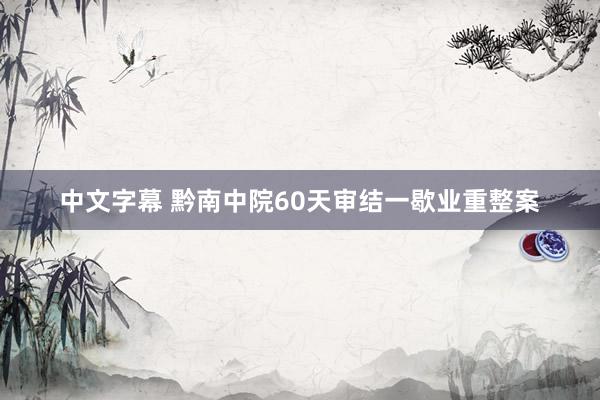中文字幕 黔南中院60天审结一歇业重整案