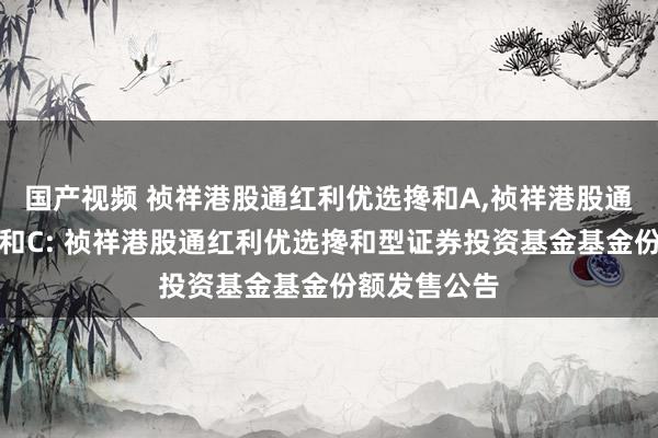 国产视频 祯祥港股通红利优选搀和A,祯祥港股通红利优选搀和C: 祯祥港股通红利优选搀和型证券投资基金基金份额发售公告
