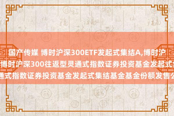 国产传媒 博时沪深300ETF发起式集结A,博时沪深300ETF发起式集结C: 博时沪深300往返型灵通式指数证券投资基金发起式集结基金基金份额发售公告