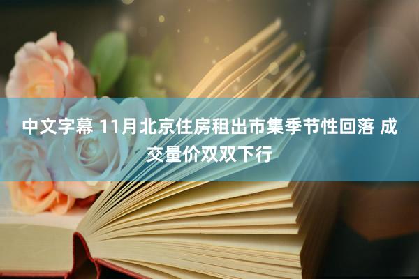 中文字幕 11月北京住房租出市集季节性回落 成交量价双双下行