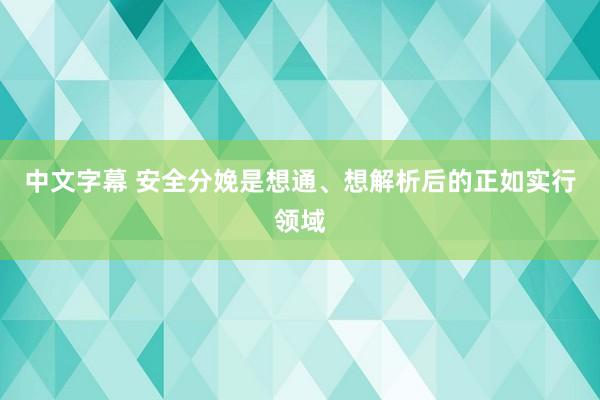 中文字幕 安全分娩是想通、想解析后的正如实行领域