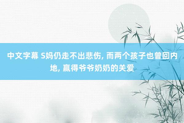 中文字幕 S妈仍走不出悲伤， 而两个孩子也曾回内地， 赢得爷爷奶奶的关爱