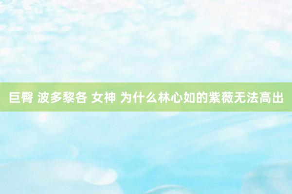 巨臀 波多黎各 女神 为什么林心如的紫薇无法高出